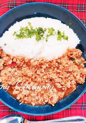 ポリフェノール豊富ゴボウ入りキーマカレー-レシピのメイン写真