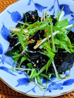 水菜のチョレギサラダ-レシピのメイン写真