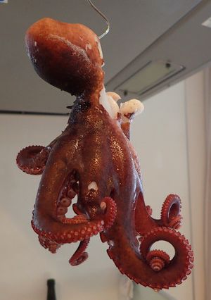 マダコの茹で方-レシピのメイン写真