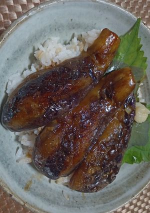 スーパーで売ってる鰻のタレで簡単茄子の蒲焼き-レシピのメイン写真