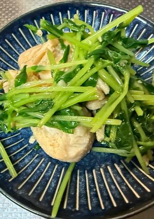 簡単 豆苗ささみ和え-レシピのメイン写真