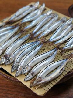 きびなごの塩焼き-レシピのメイン写真