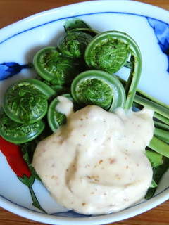 こごみの胡麻マヨ和え-レシピのメイン写真