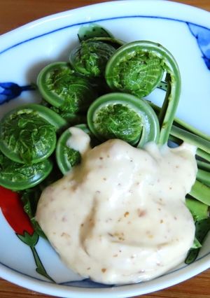 こごみの胡麻マヨ和え-レシピのメイン写真