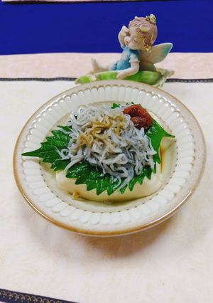 ☆簡単お豆腐にしらす&梅干し乗せ美味♬-レシピのメイン写真