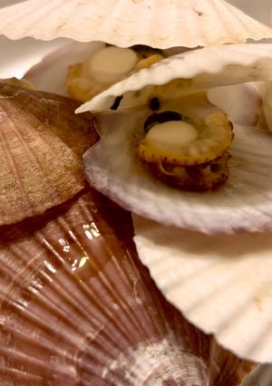 帆立の稚貝の酒蒸し-レシピのメイン写真