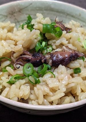 ほたるいかの炊き込みご飯-レシピのメイン写真