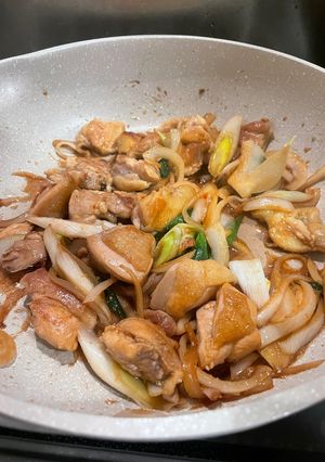 鶏肉ネギ玉ねぎ炒め-レシピのメイン写真