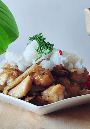 おろしぶっかけ鶏ごぼう☆胃に優しい☆腸活-レシピのメイン写真