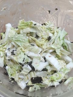 白菜のサラダ-レシピのメイン写真