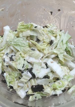 白菜のサラダ-レシピのメイン写真