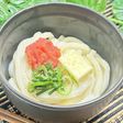 明太バター醬油うどん