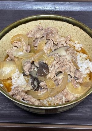 適当に入れたら出来た牛丼-レシピのメイン写真
