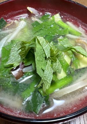 茄子にらもやしのミソスープ-レシピのメイン写真