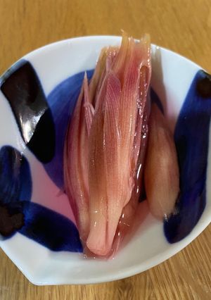 みようがの甘酢漬け-レシピのメイン写真