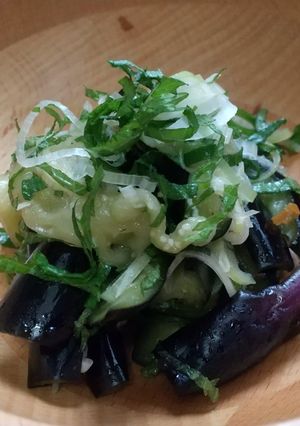 塩もみナスの薬味和え-レシピのメイン写真