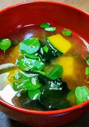 モリンガの生葉のお味噌汁 かぼちゃと若布-レシピのメイン写真