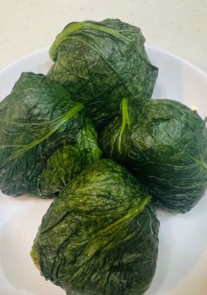 自家栽培の高菜で簡単!めはり寿司-レシピのメイン写真