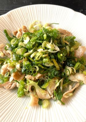 【野菜ソムリエ】九条ねぎだく豚肉サラダ-レシピのメイン写真