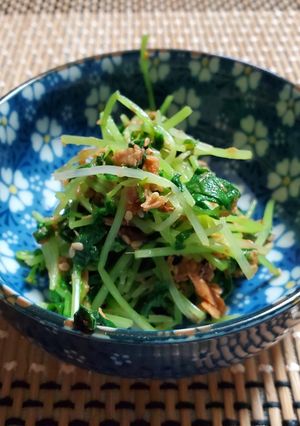 🤍豆苗のツナ和え-レシピのメイン写真