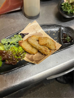 揚げ餃子-レシピのメイン写真