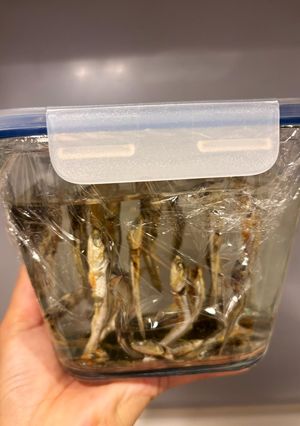 水出しで昆布と煮干しの出汁-レシピのメイン写真