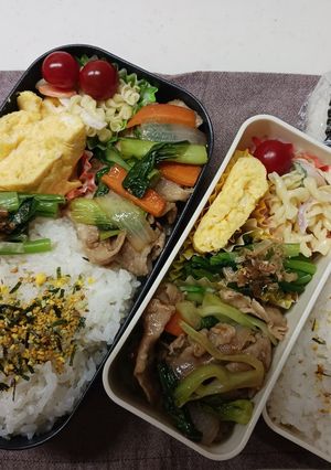 2024.5.7野菜炒め弁当-レシピのメイン写真
