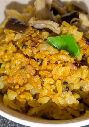 茄子と大豆肉の超減塩スパイス十六穀ご飯-レシピのメイン写真