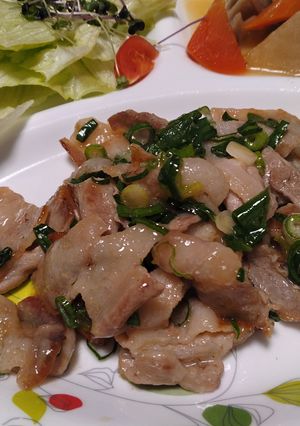 塩ダレといったらコレ✾豚肉の塩だれ-レシピのメイン写真