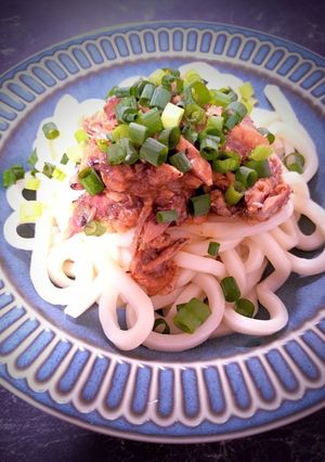 ☆簡単☆いわしの缶詰めのぶっかけうどん-レシピのメイン写真