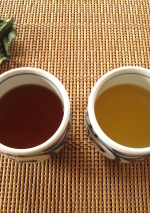 コーヒーの葉茶の飲み比べ-レシピのメイン写真