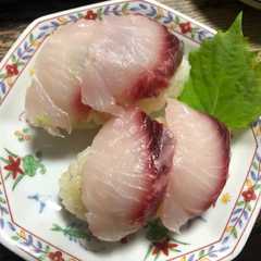 A picture of ボラの握り寿司.