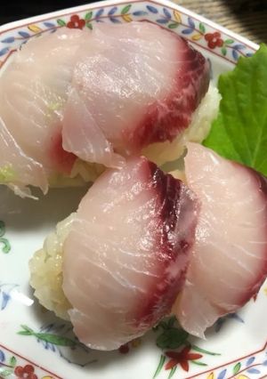 ボラの握り寿司-レシピのメイン写真