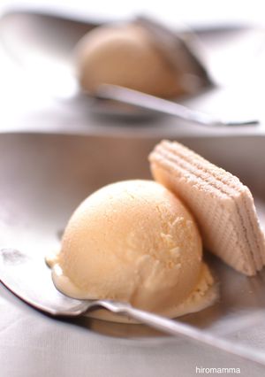 バニラアイスクリーム-レシピのメイン写真