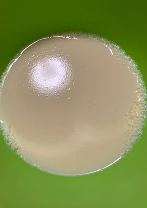 レンチンのみ、豆乳ゼリー-レシピのメイン写真