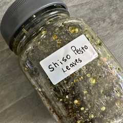 รูปของ 紫蘇ペスト　Shiso pesto