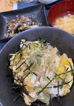 鶏むね肉の親子丼-レシピのメイン写真