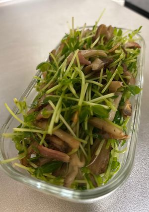 豆苗とまいたけのサラダ-レシピのメイン写真
