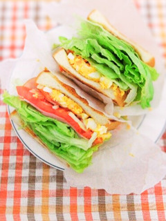 栄養士の卵考案☆野菜たっぷりサンドイッチ-レシピのメイン写真