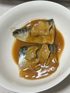 さばの味噌煮-レシピのメイン写真