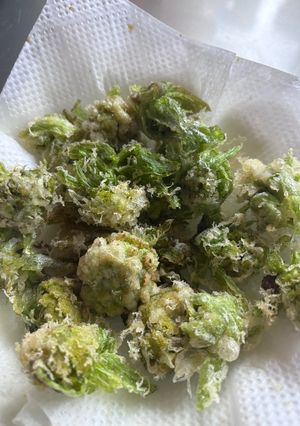 フキノトウの天ぷら　市販の米粉てんぷら粉-レシピのメイン写真