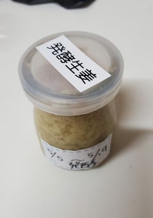 発酵生姜-レシピのメイン写真