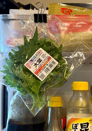 大葉の保存方法-レシピのメイン写真
