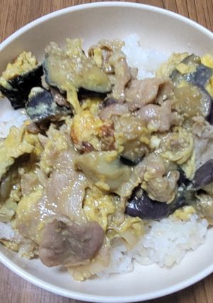 豚肉と揚げナスの簡単丼-レシピのメイン写真
