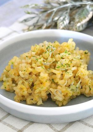しらすとかぼちゃの混ぜご飯-レシピのメイン写真
