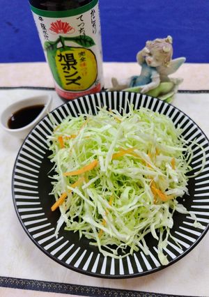 ☆キャベツサラダはサッパリポン酢で♬美味-レシピのメイン写真