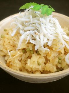 実山椒と釜揚げチリメンの炊き込みご飯-レシピのメイン写真