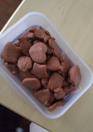 ココアクッキー-レシピのメイン写真