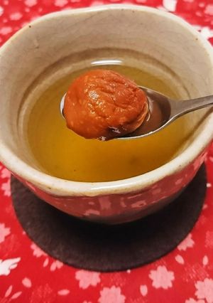 蜂蜜梅のホット緑茶♪-レシピのメイン写真