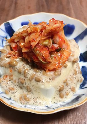 乳酸菌とタンパク質-レシピのメイン写真